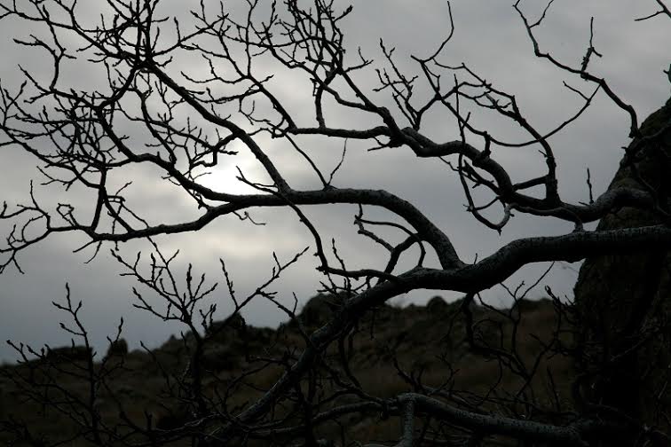 Giuliano Lo Pinto - Luci ed ombre nell’Appennino Ligure